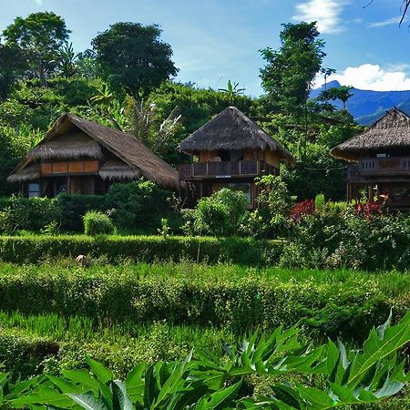 ホテル Rinjani Mountain Garden Bayan エクステリア 写真