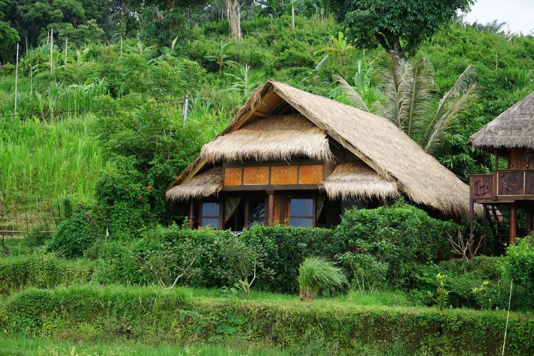 ホテル Rinjani Mountain Garden Bayan エクステリア 写真
