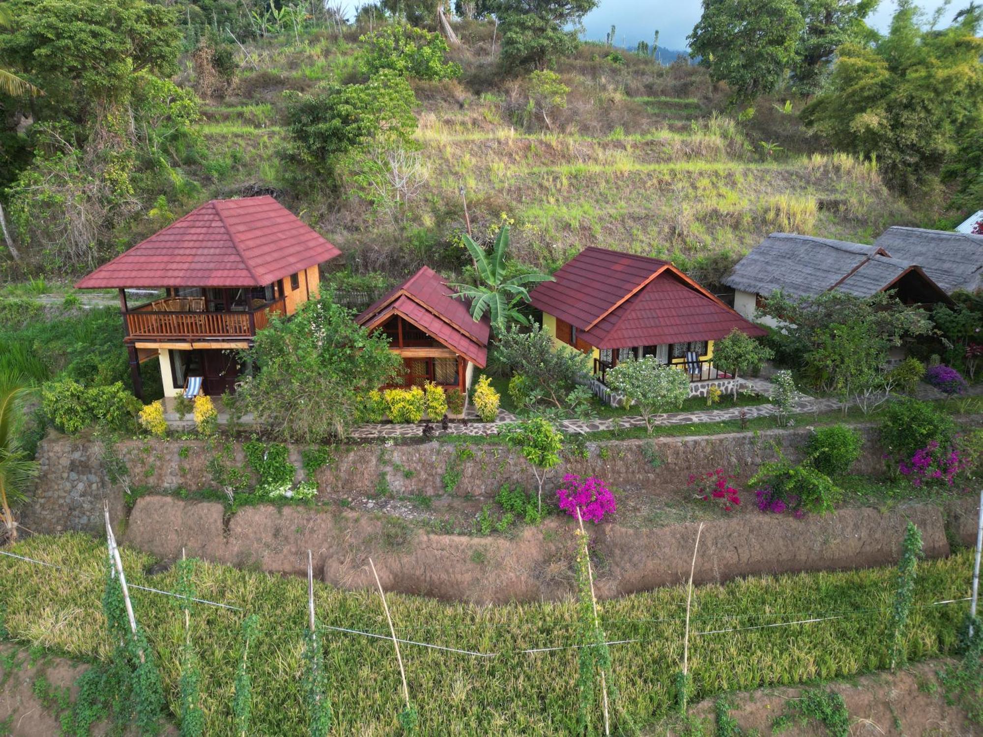 ホテル Rinjani Mountain Garden Bayan エクステリア 写真