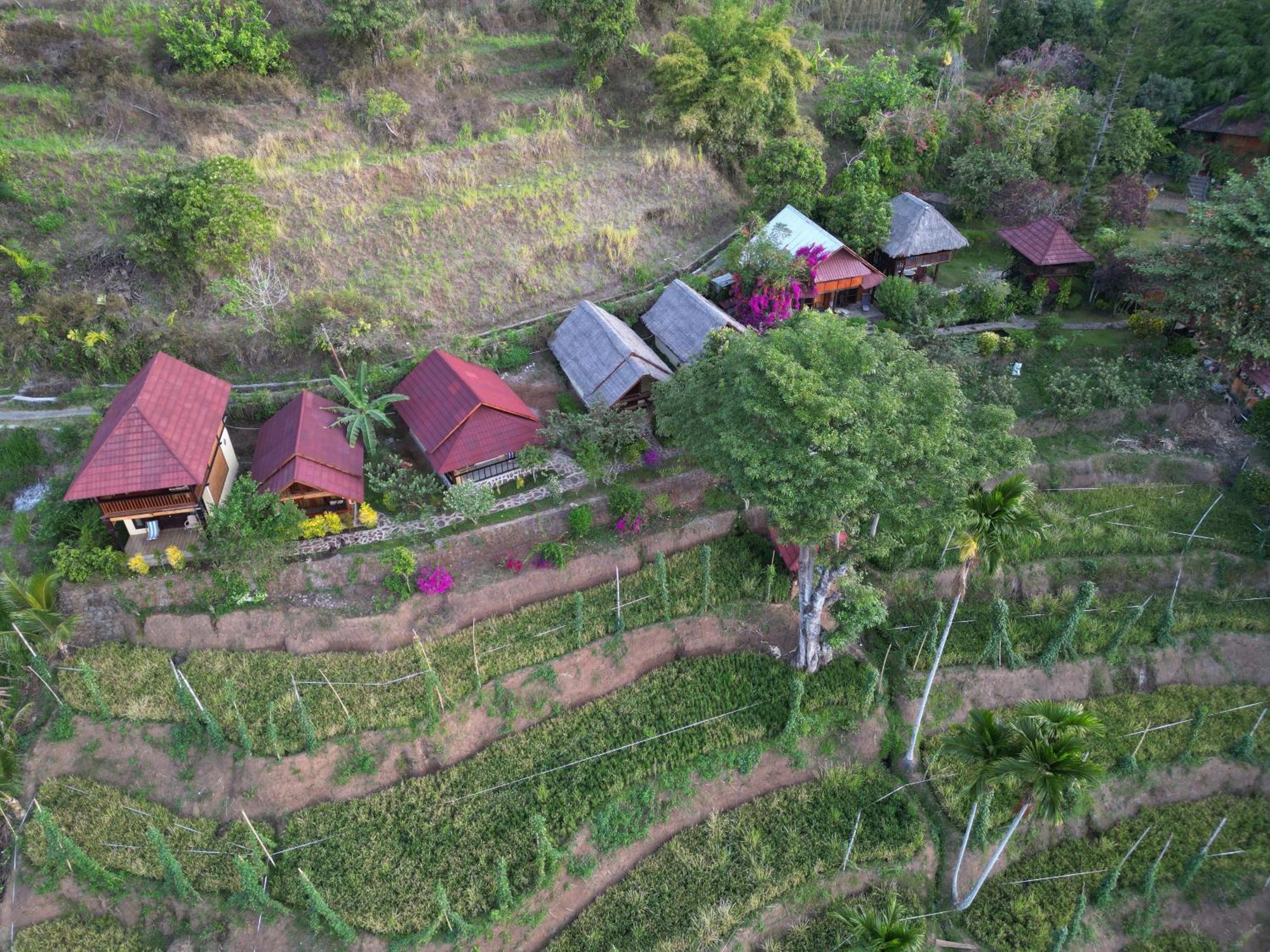 ホテル Rinjani Mountain Garden Bayan エクステリア 写真