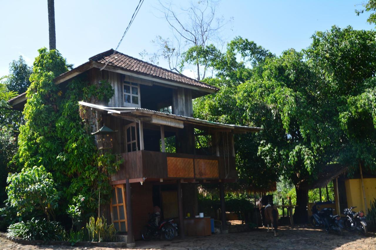 ホテル Rinjani Mountain Garden Bayan エクステリア 写真