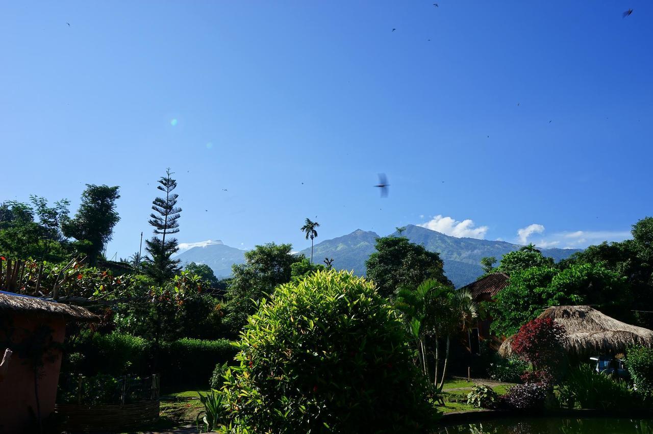 ホテル Rinjani Mountain Garden Bayan エクステリア 写真