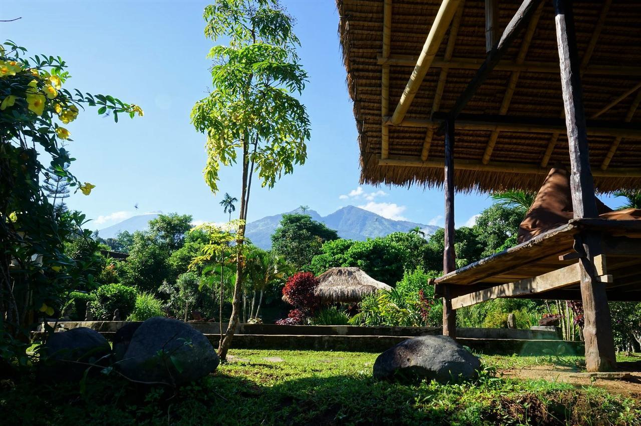 ホテル Rinjani Mountain Garden Bayan エクステリア 写真