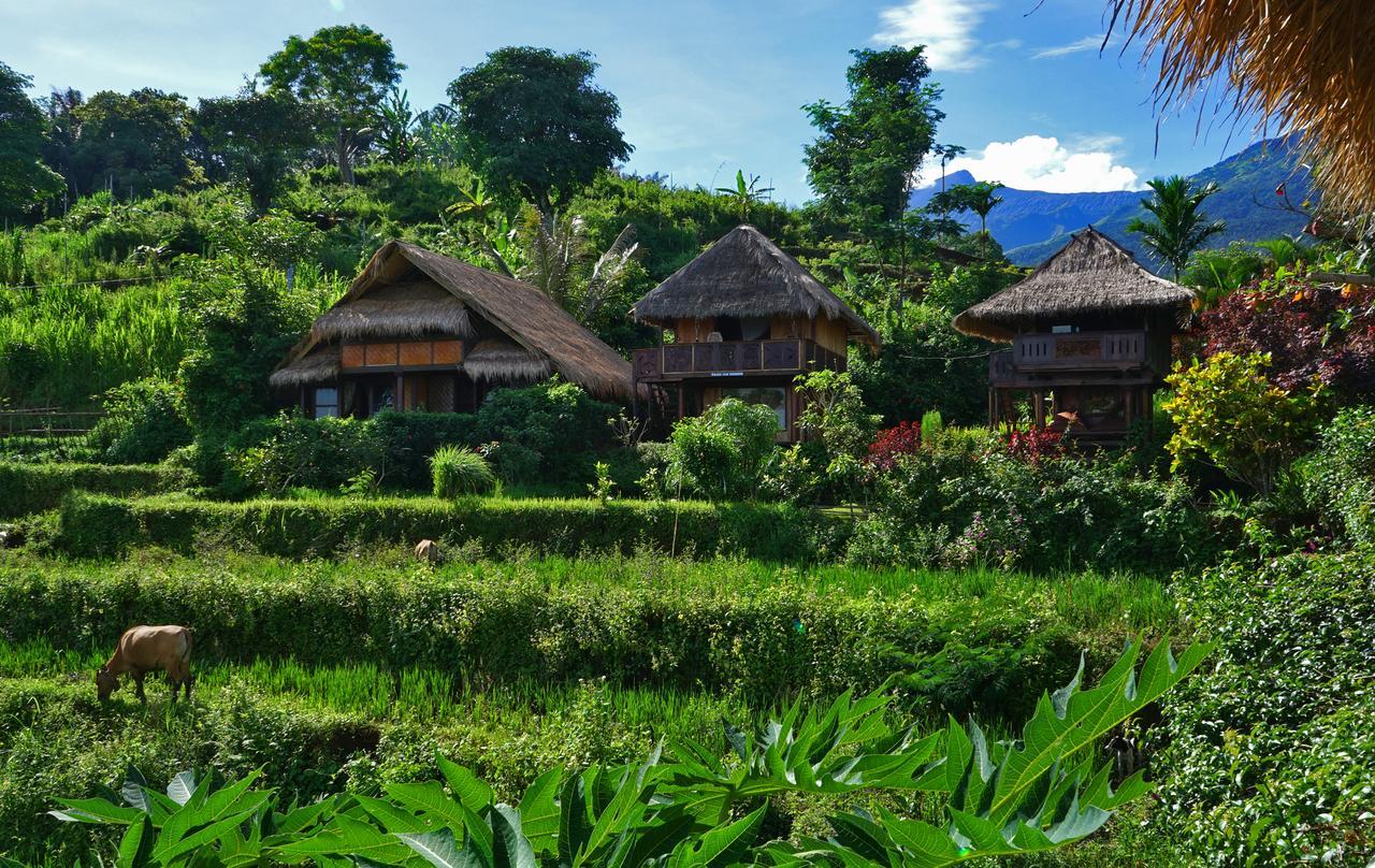 ホテル Rinjani Mountain Garden Bayan エクステリア 写真